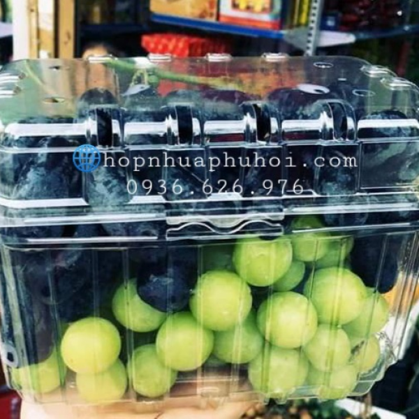HỘP NHỰA ĐỰNG TRÁI CÂY 1KG P1000B